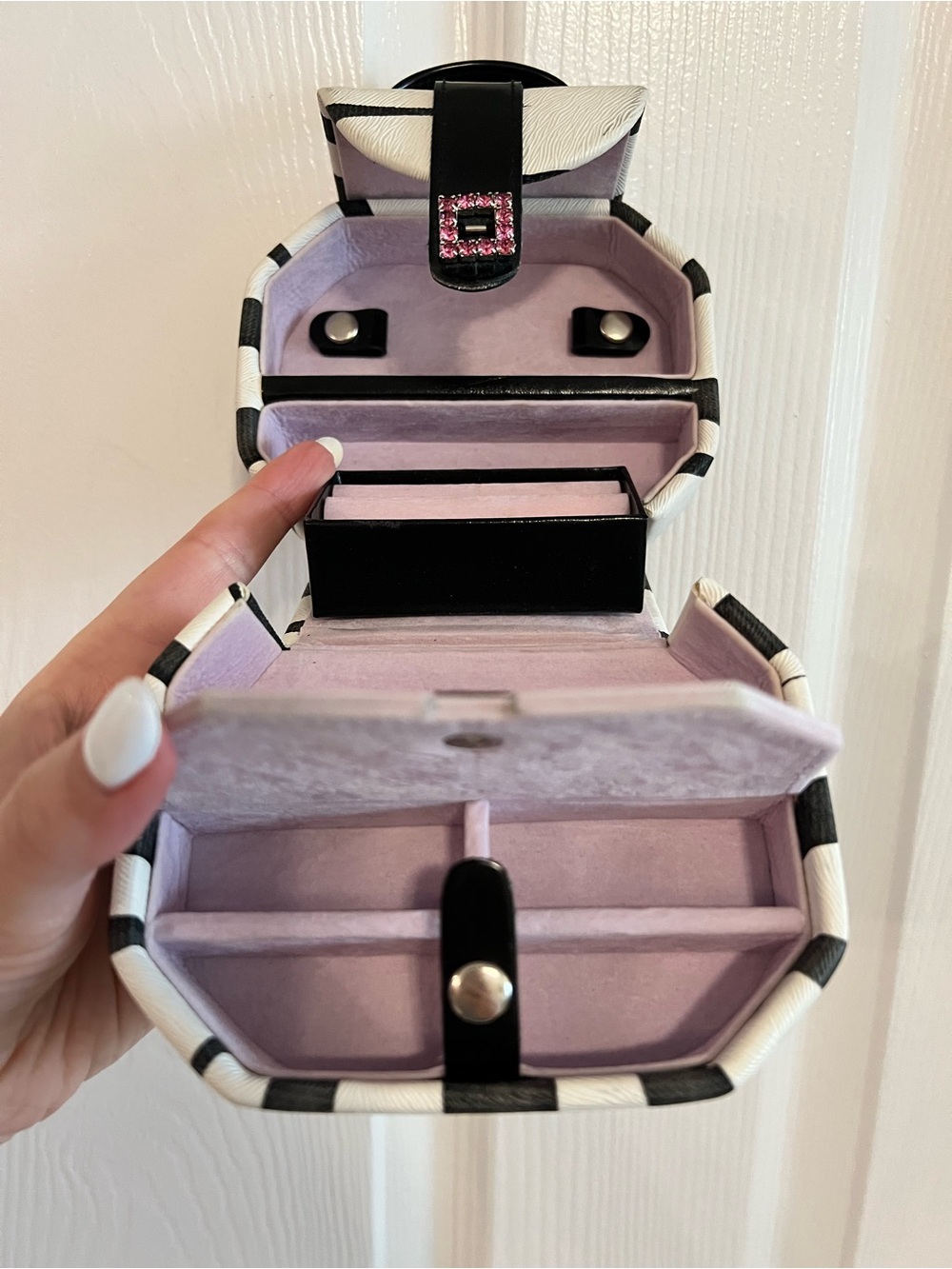 Zebra Print Travel Jewelry Case